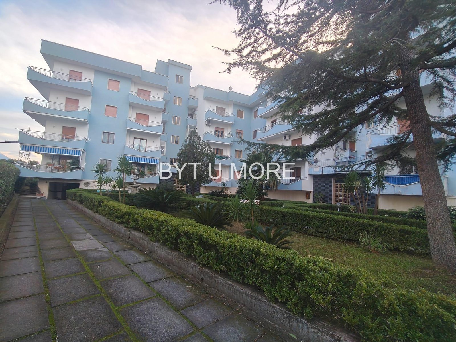 WhatsApp Image 2025-12-15 at 16.13.38