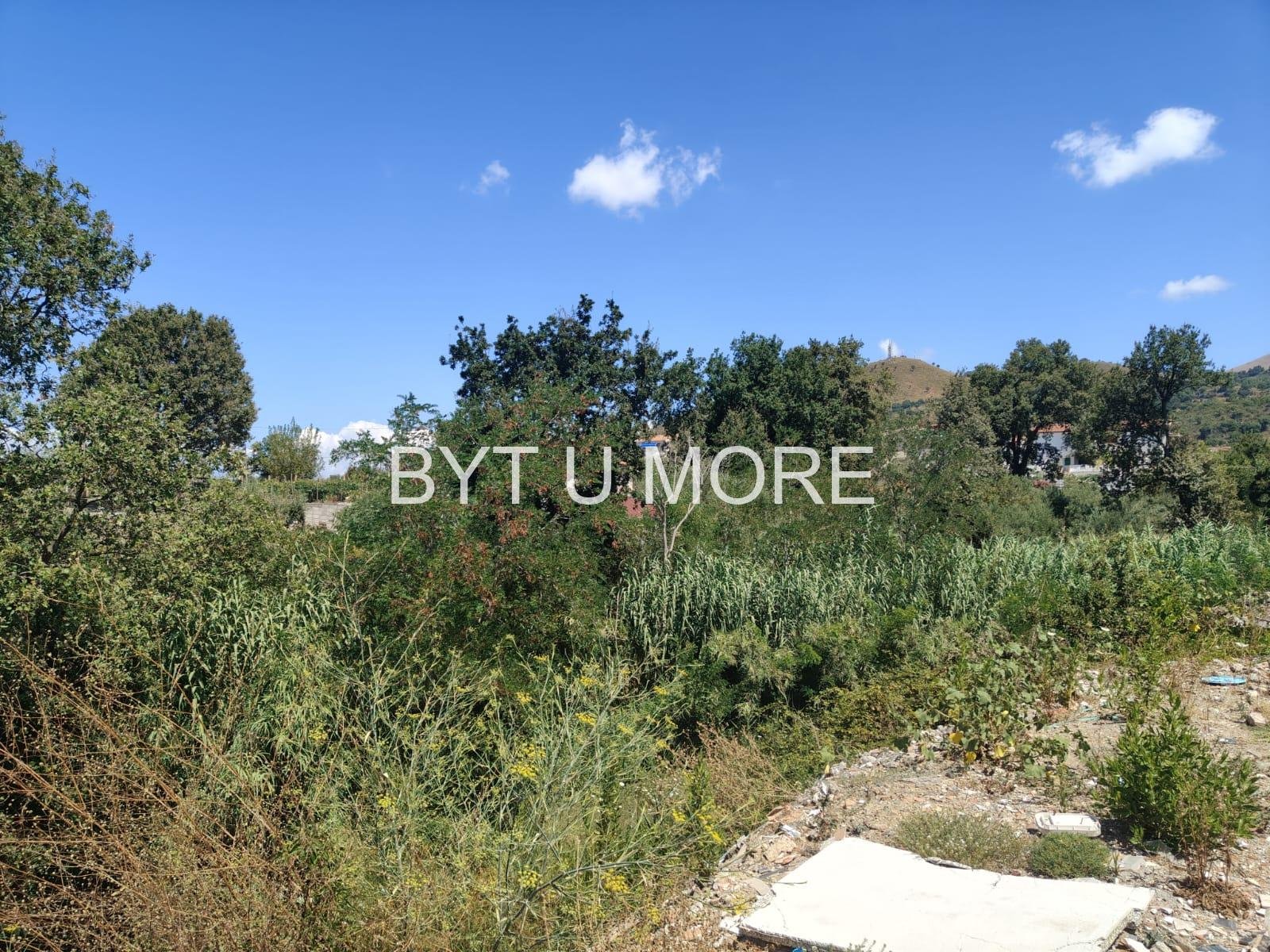 WhatsApp Image 2025-08-04 at 11.52.14 (1)