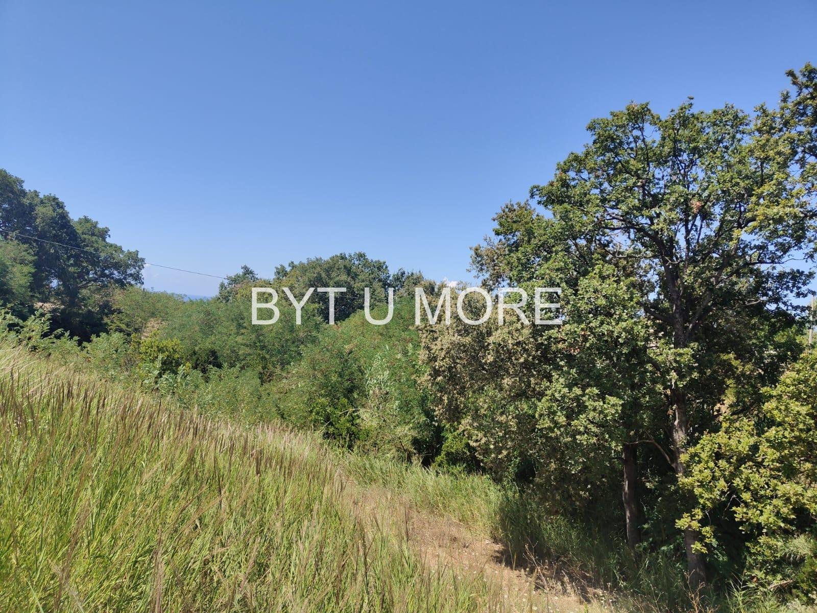 WhatsApp Image 2025-08-04 at 11.52.14 (2)