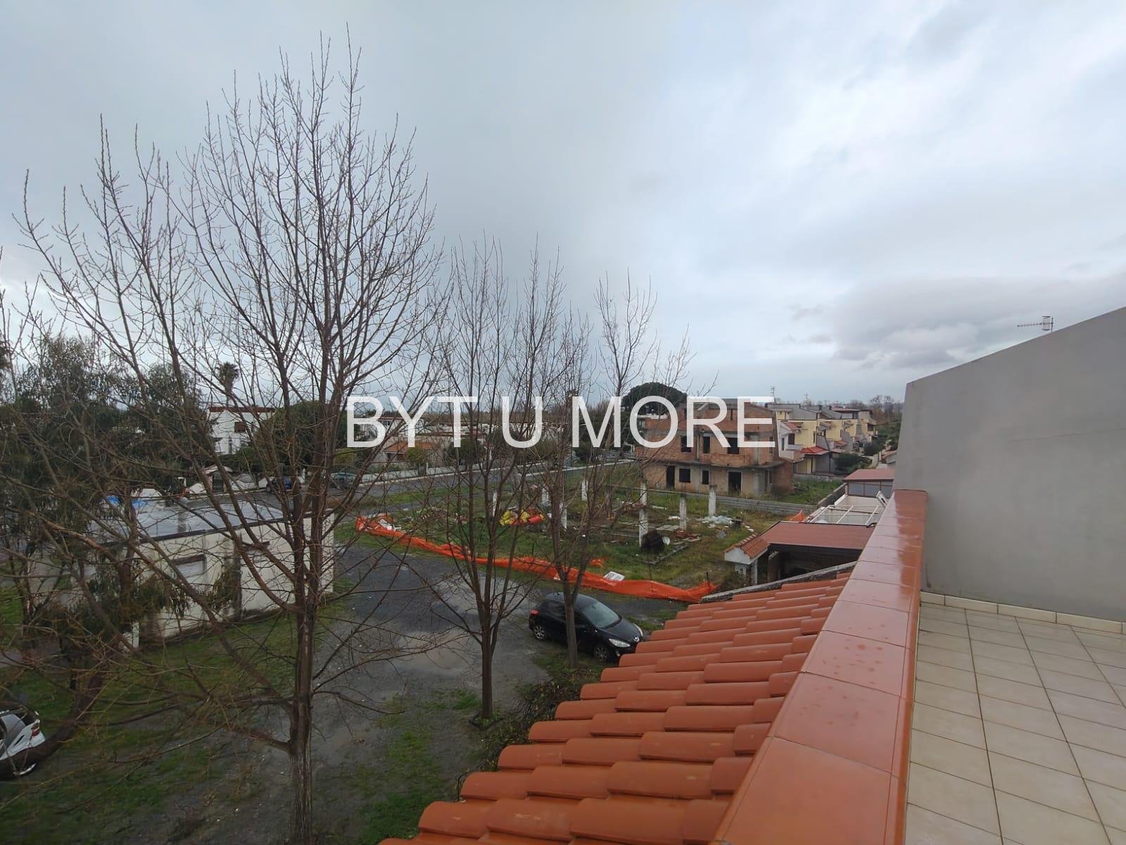 WhatsApp Image 2026-02-11 at 18.02.04