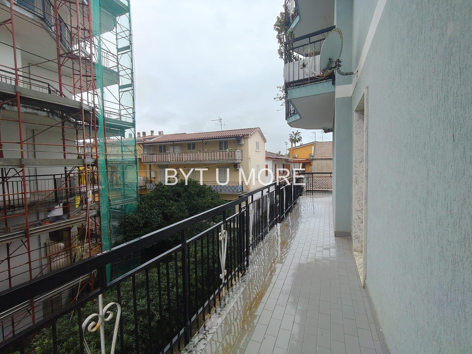 WhatsApp Image 2026-02-13 at 10.55.59