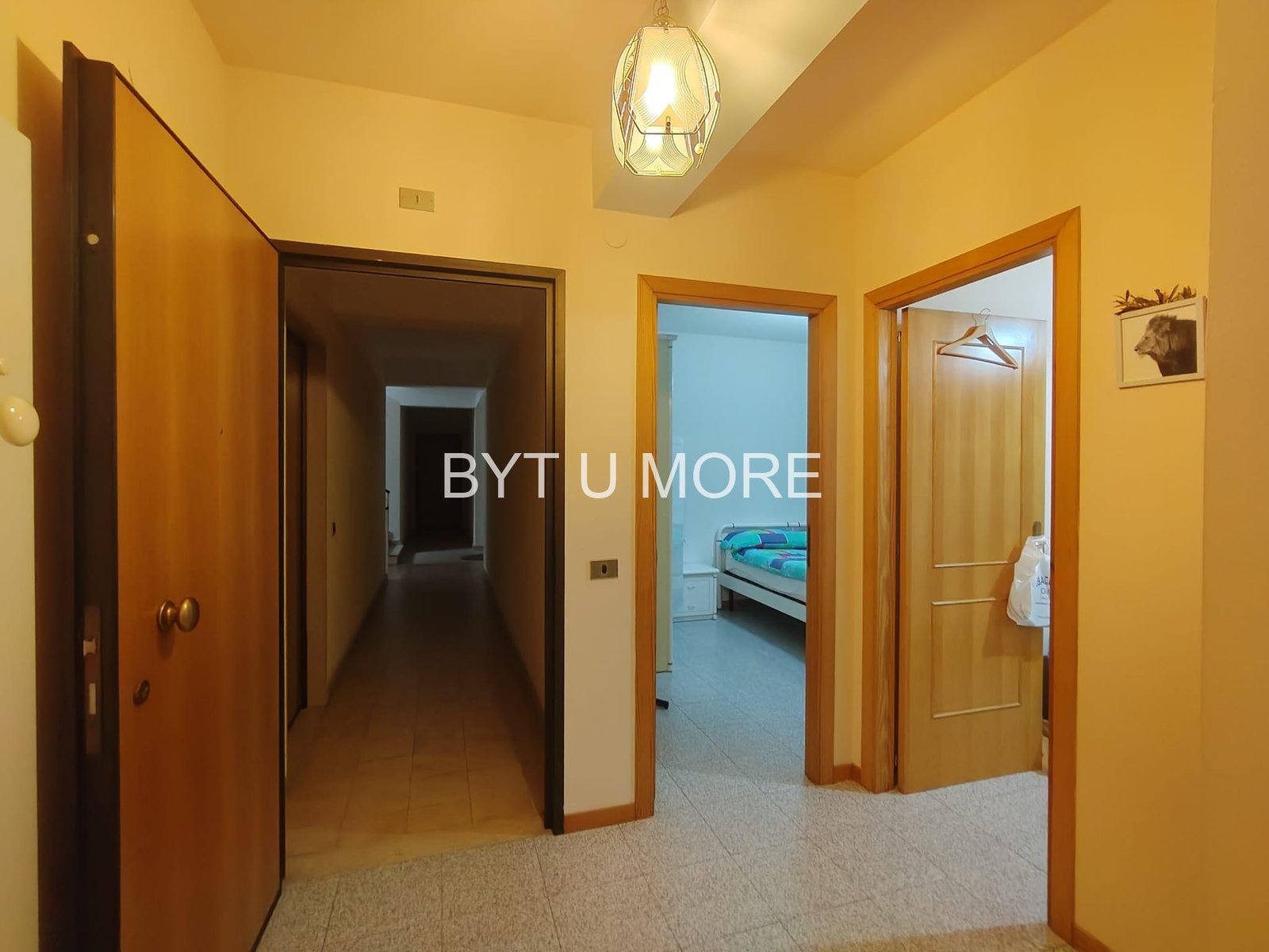 WhatsApp Image 2026-02-13 at 10.56.02