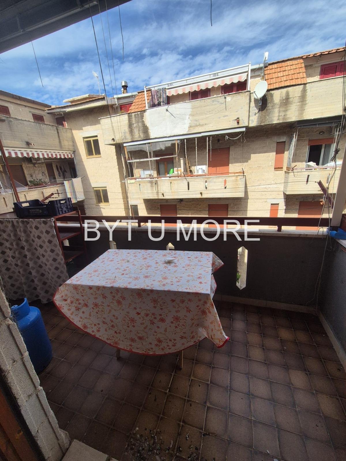 WhatsApp Image 2026-02-13 at 11.37.21