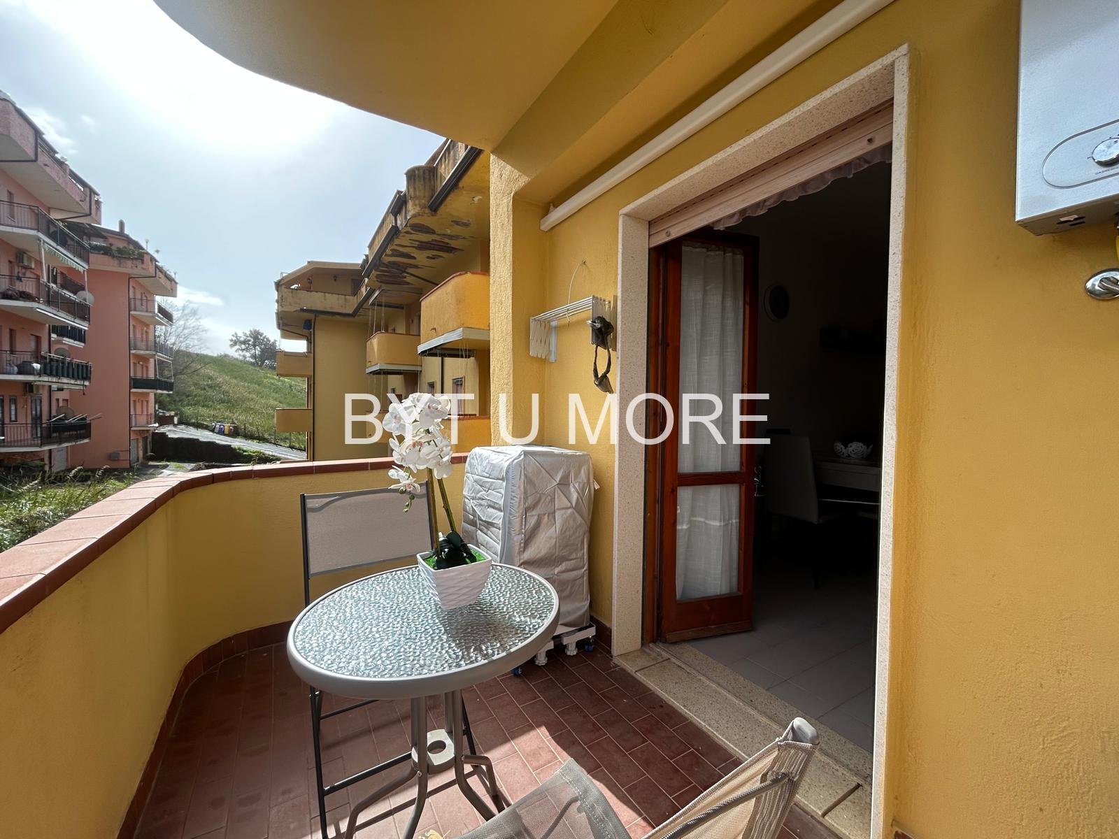 WhatsApp Image 2026-02-18 at 12.29.50