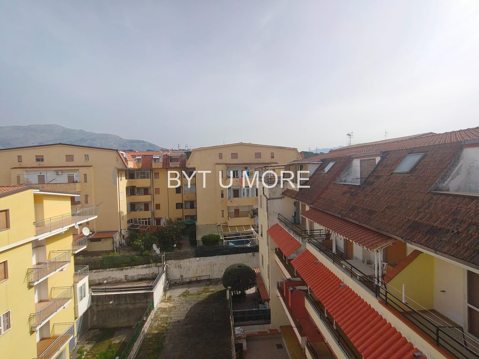 WhatsApp Image 2026-03-05 at 17.26.50