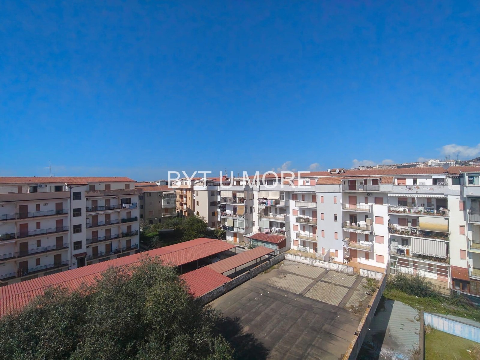 WhatsApp Image 2026-03-14 at 08.20.23