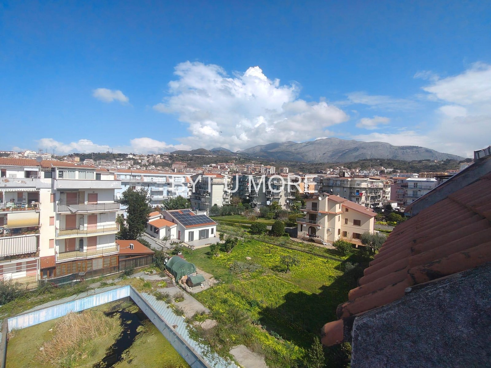 WhatsApp Image 2026-03-14 at 08.20.26 (1)