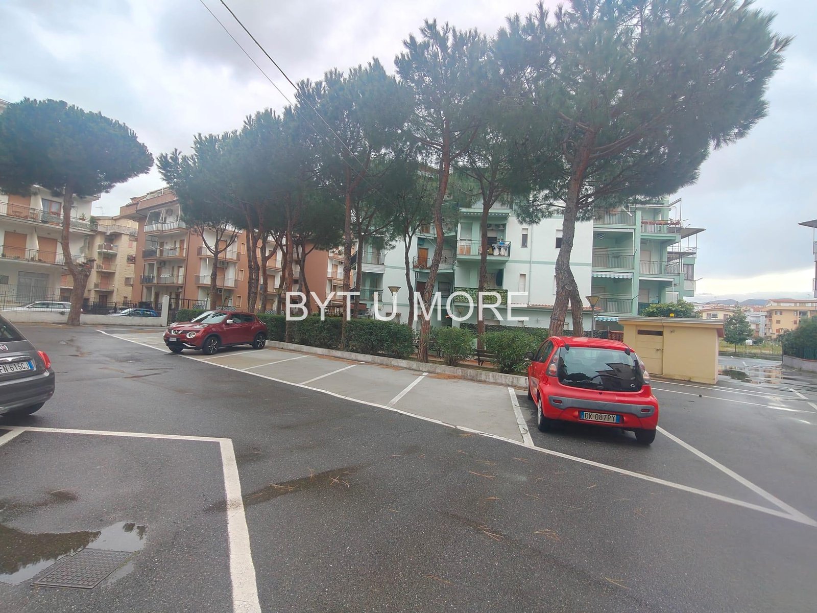 WhatsApp Image 2026-03-17 at 16.40.06 (1)