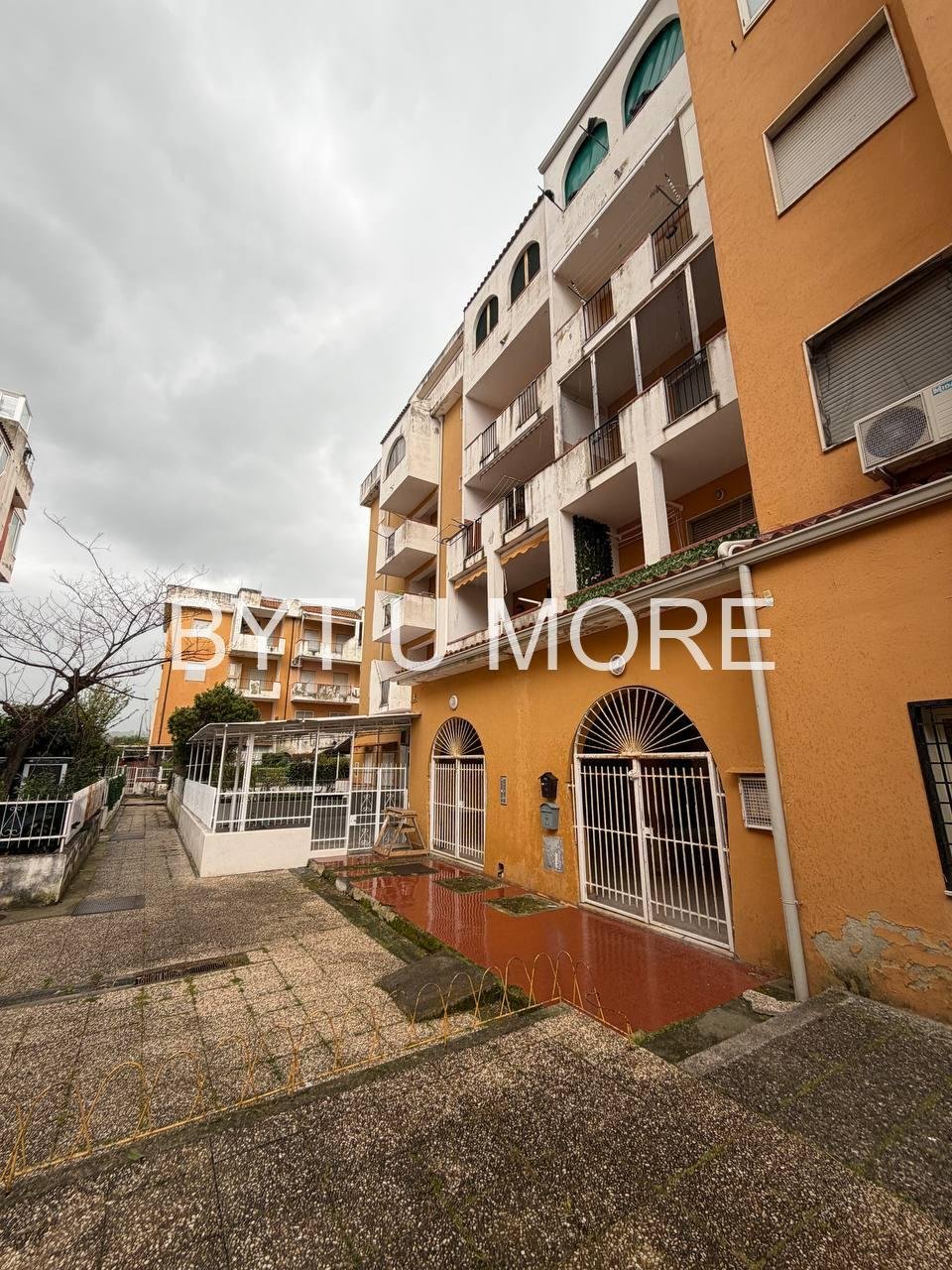 WhatsApp Image 2026-03-30 at 14.11.09